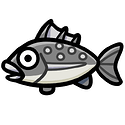 Grey Fish