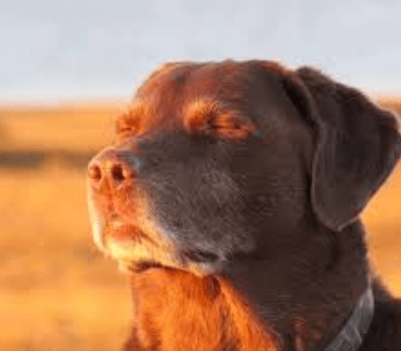 Screenshot 2025-11-16 10.10.35 PM