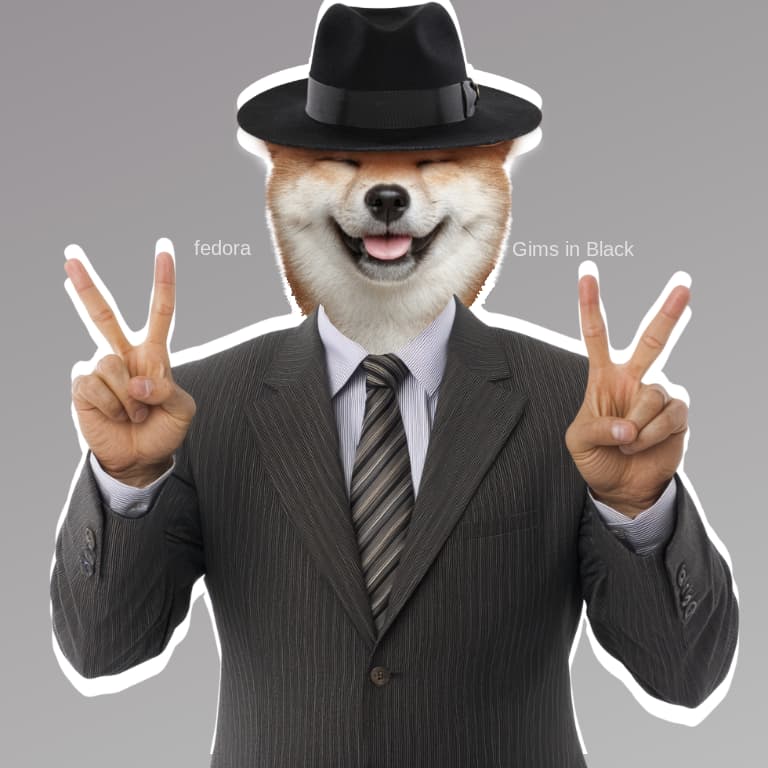 Gims in Black - Fedora