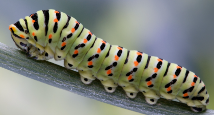 Screenshot 2025-11-26 9.07.08 AM