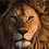 LionPride109